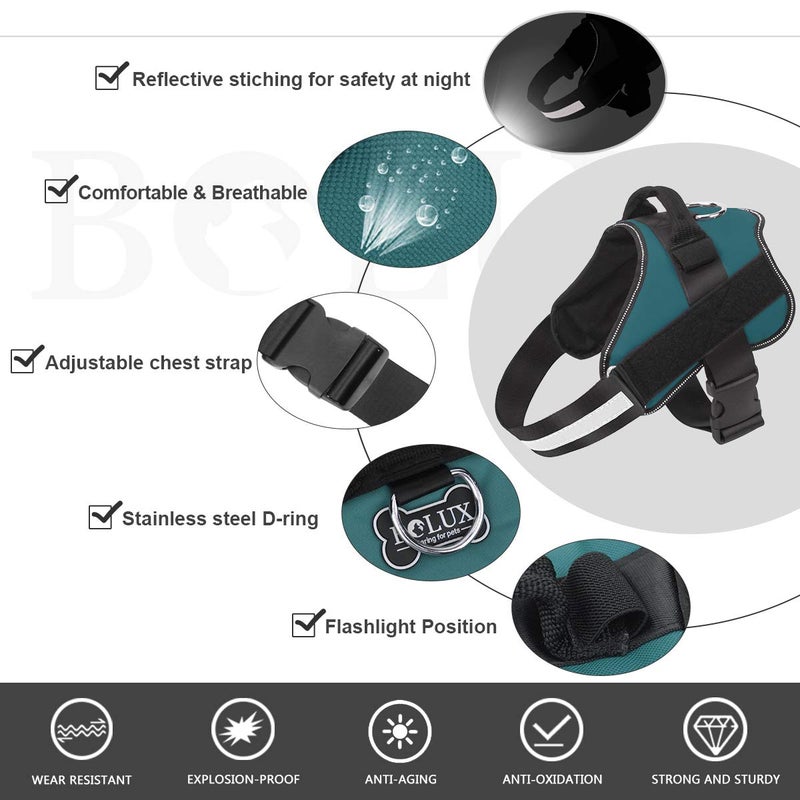 Bolux Dog Harness, No-Pull Reflective Dog Vest, Breathable Adjustable Pet Harness with Handle for Outdoor Walking - No More Pulling, Tugging or Choking (Turquoise, M) - Image 2